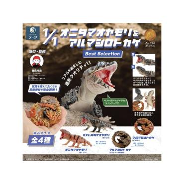 1/1 棘皮瘤尾守宮＆犰狳環尾蜥 Best Selection 造型收藏 盒玩 全4種 SO-TA