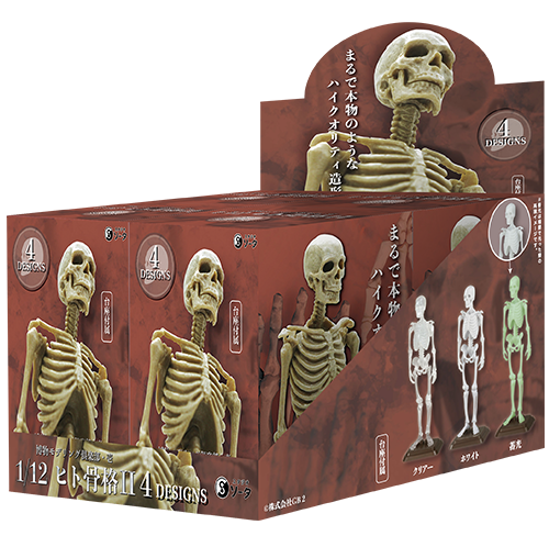 博物模型俱樂部.壹 1/12 人體骨骼 盒玩 全4款 SO-TA