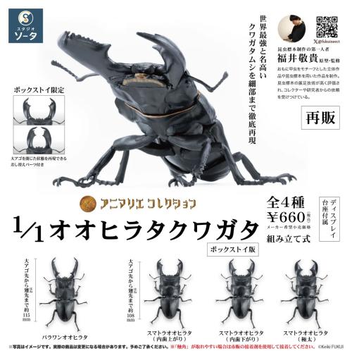 (預購26年6月) 擬真模型 1/1 大扁鍬形蟲 造型收藏 盒玩 全4種 Kenelephant