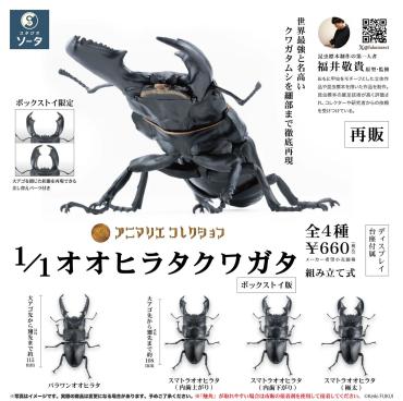 (預購26年6月) 擬真模型 1/1 大扁鍬形蟲 造型收藏 盒玩 全4種 Kenelephant